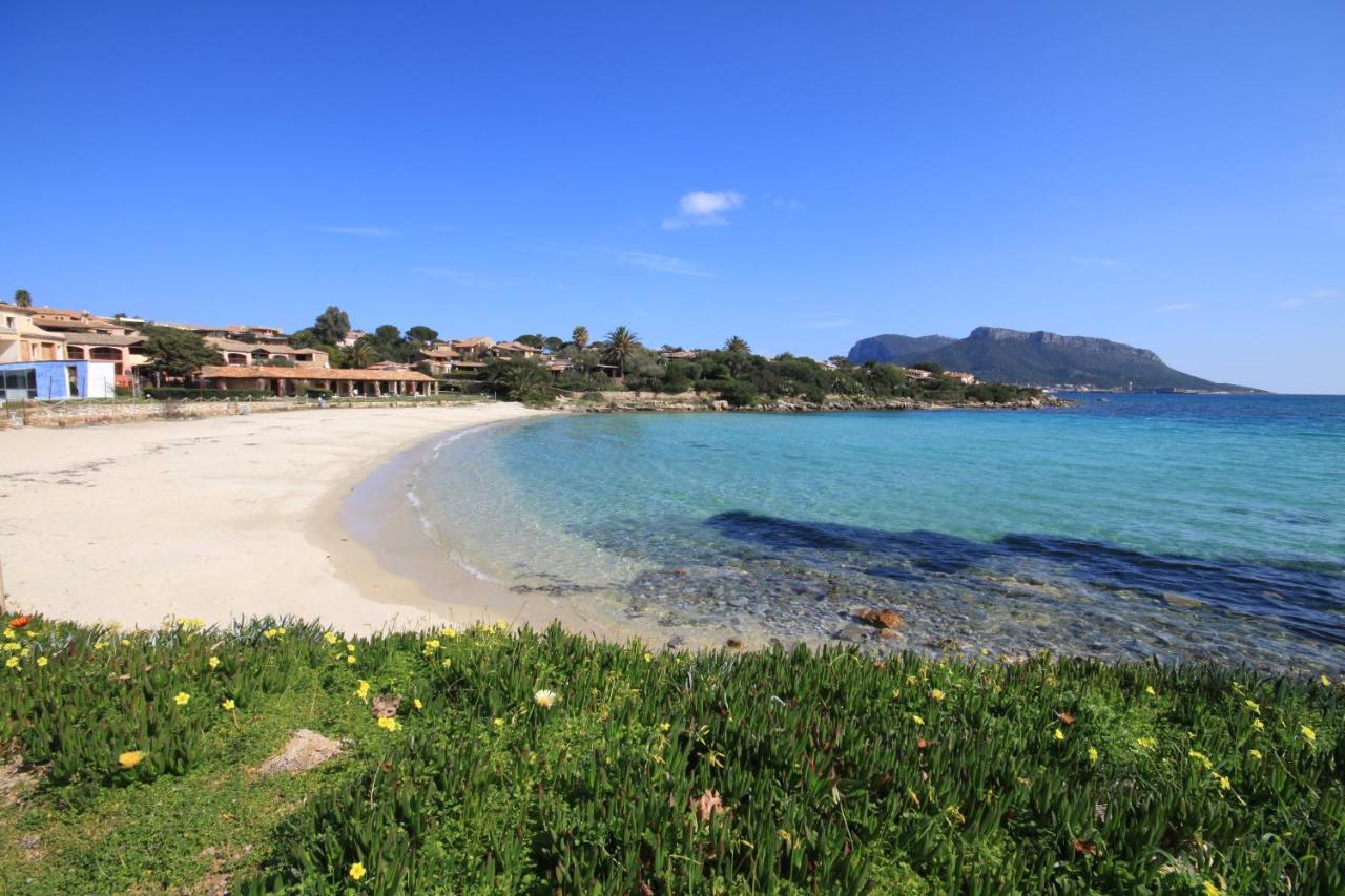 Le Del Golfo - Your House In Sardinia Holiday home *